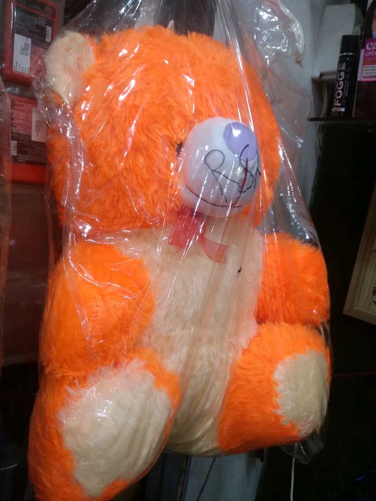Teddy Bear