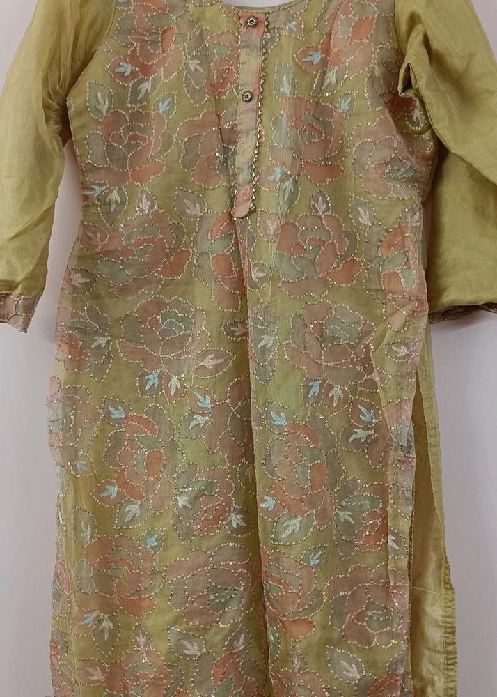 Beautiful Organza Pakistani Suit👗