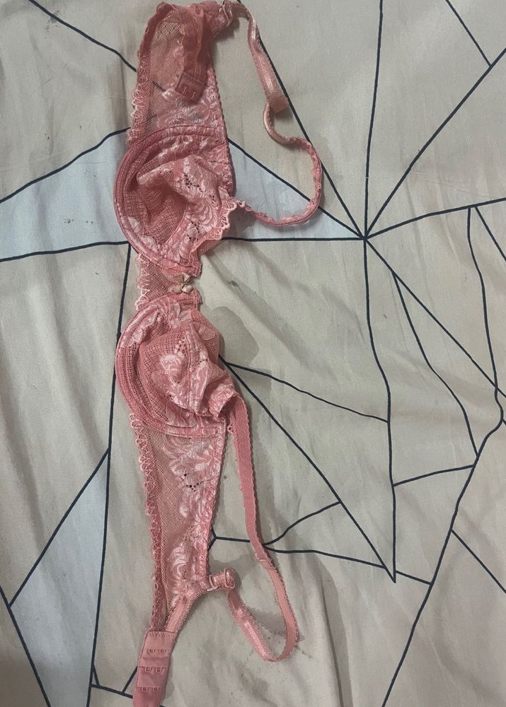 Enamor Bra