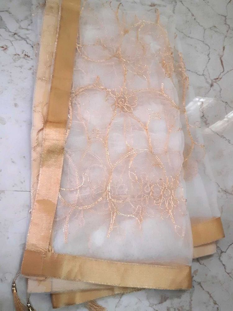 Combo Of 2 Net With Zari Thread 2mtr