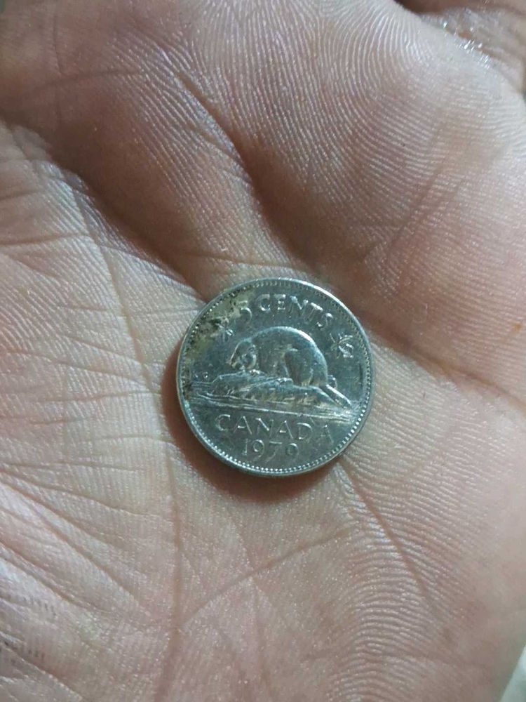 Canada Vintage 5 Cent Coins Year 1979