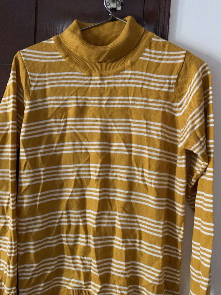 Striped Turtleneck Sweater