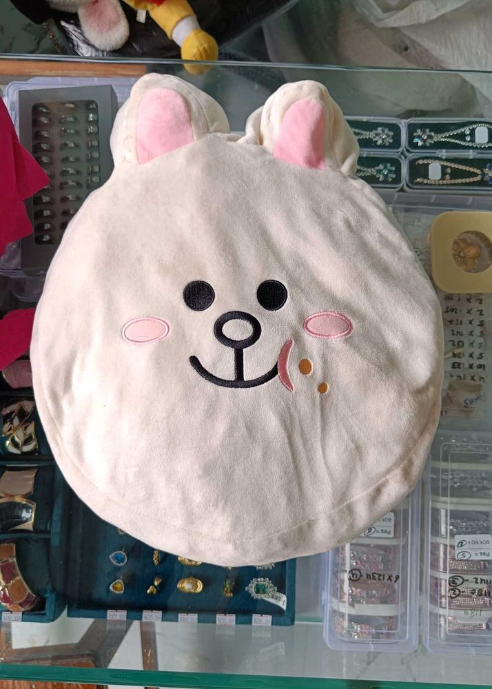 Line Friends Cushion