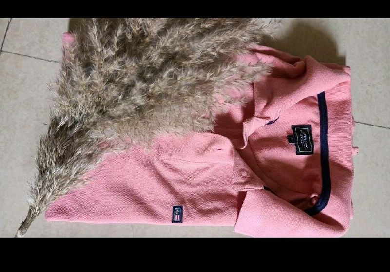 Polo Neak Arrow Tshirts