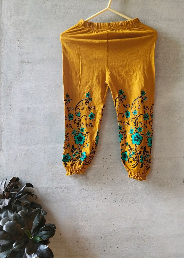 Short Pant That Look Like New.