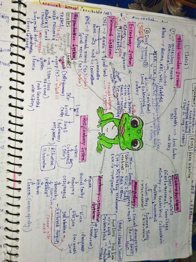 Handwritten Biology Notes