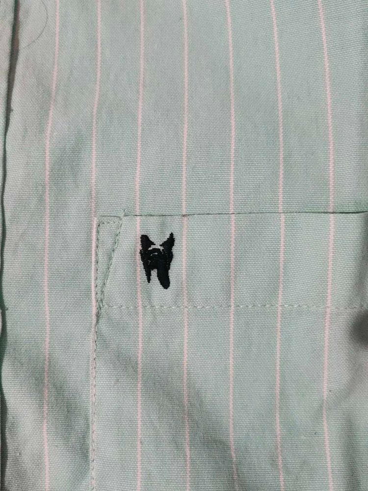 Striped Button-Down Shirt