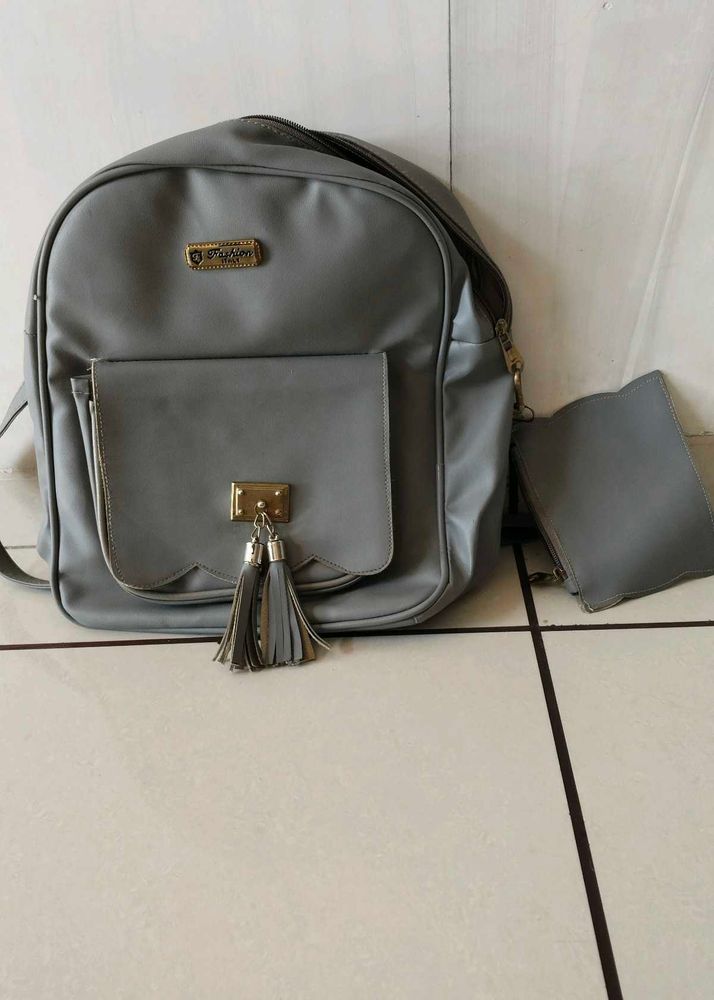 Stylish Gray Backpack
