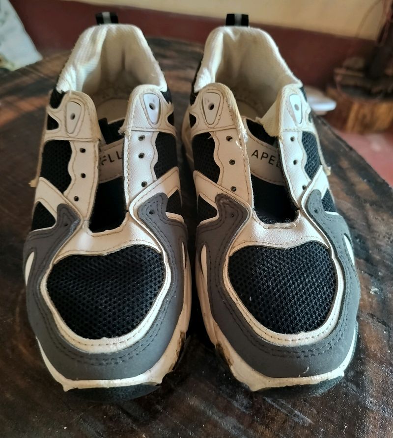 Women Sneaker