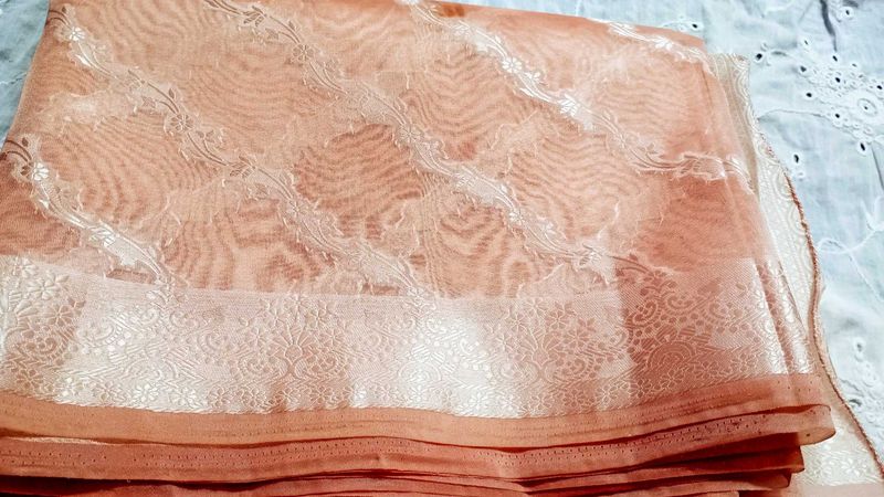 Tissue Saree 2