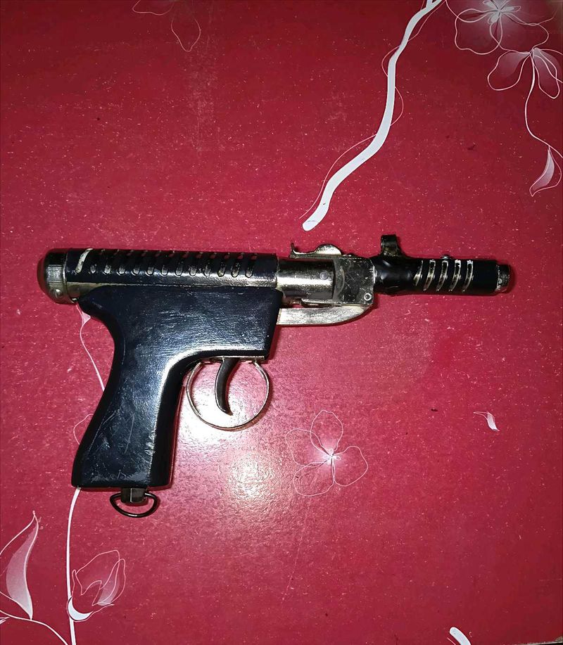 BEST PROTECTION GUN
