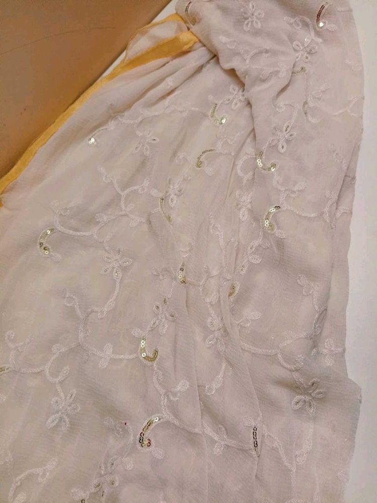 Elegant Off-White Chiffon Dupatta with Intricate