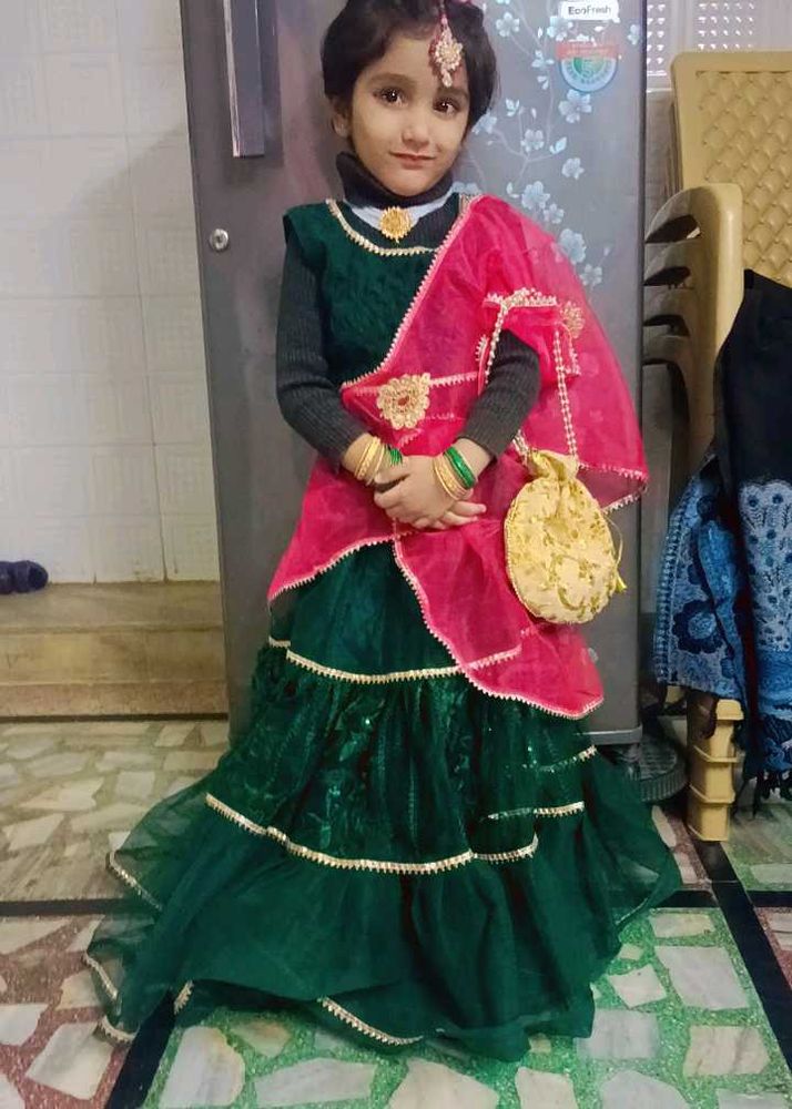 Net Lehnga