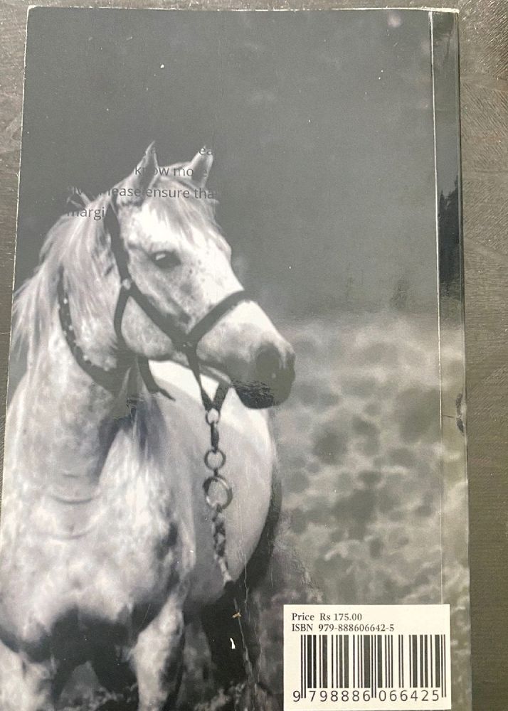 The Boy With a Broken Heart And Alisha Kohinoor