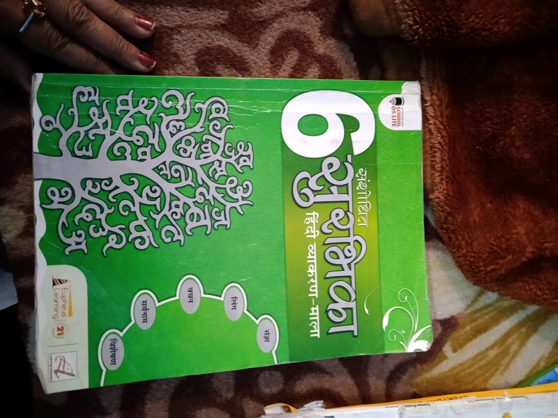 6th Class Hindi Grammar School Book