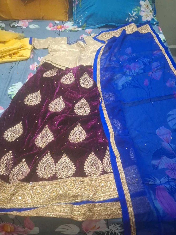 Elegant Embroidered Lehenga Choli Set