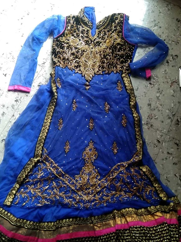 This Beautiful Net Gown