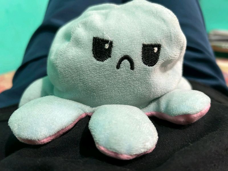 Octopus