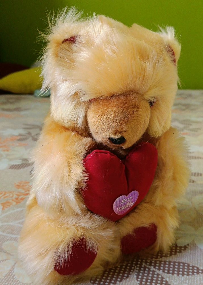 Teddy Bear
