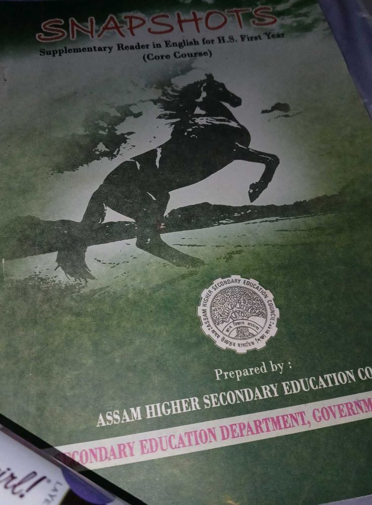 Class 11th Supplementary Reader In English