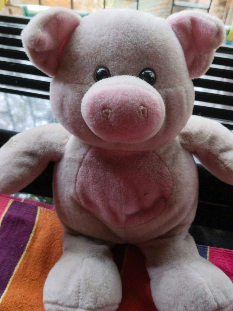 Teddy Bear 🩷 Pink