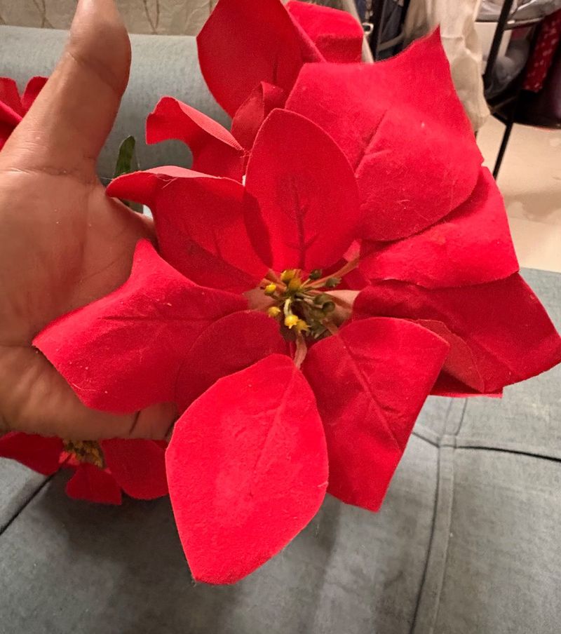 Red Poinsettia Home Decor for Christmas