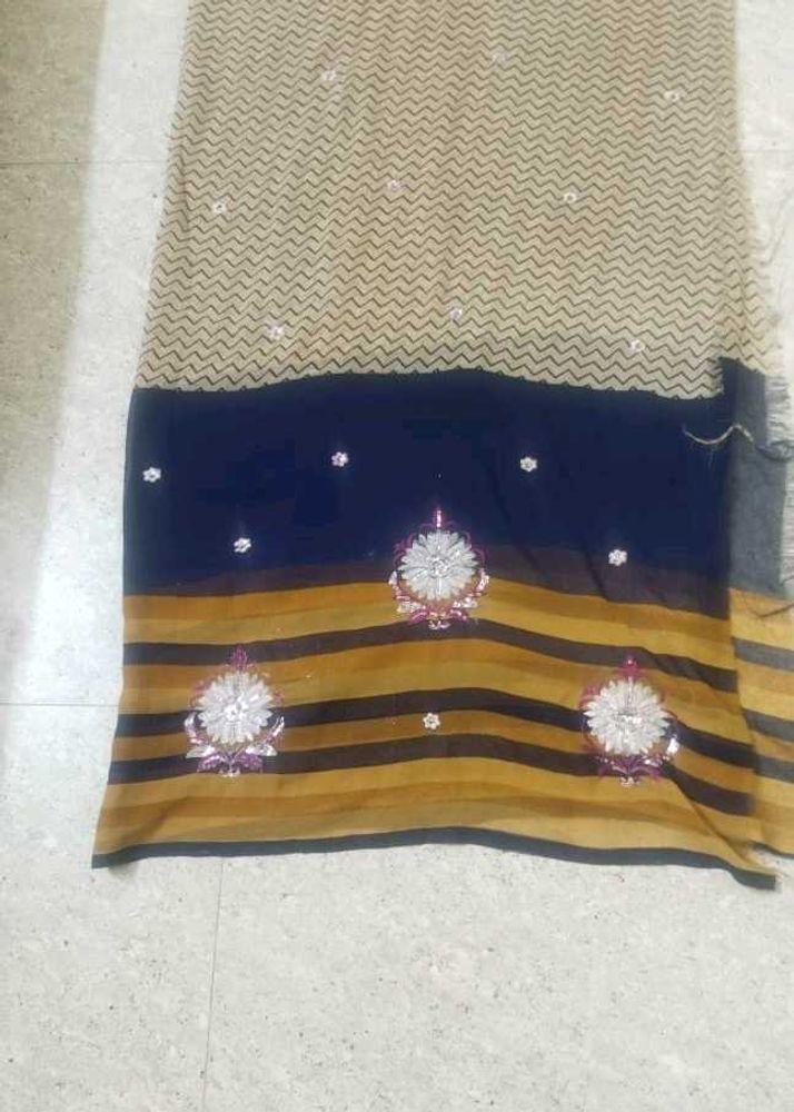 Embroidered Chevron &amp; Striped Sari