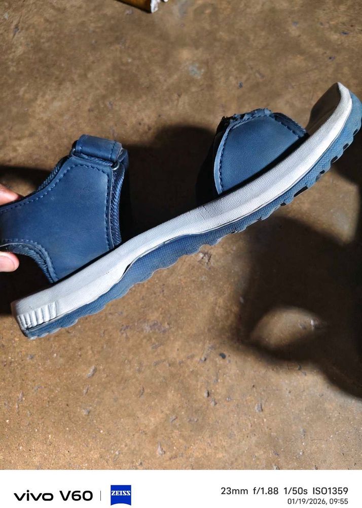 Blue Casual Sandals