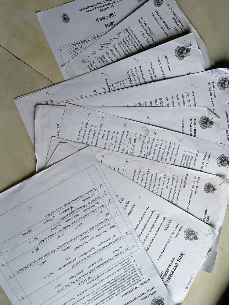 class 8 annual exam question paper