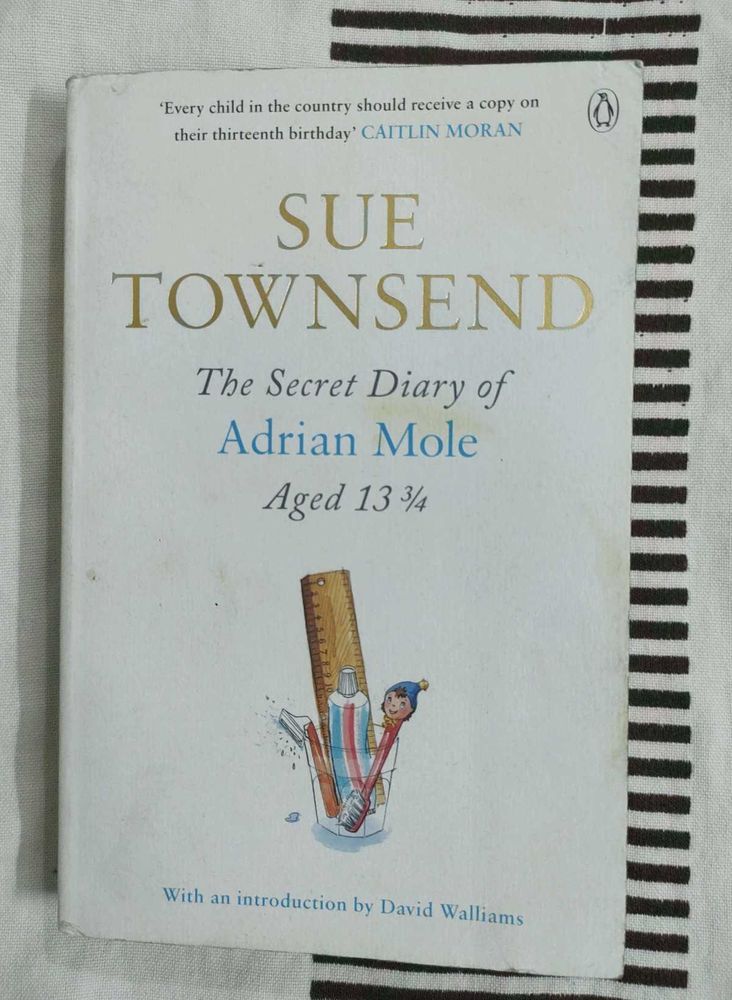 The Secret Diary Of Adrian Mole Aged Sue Townsend