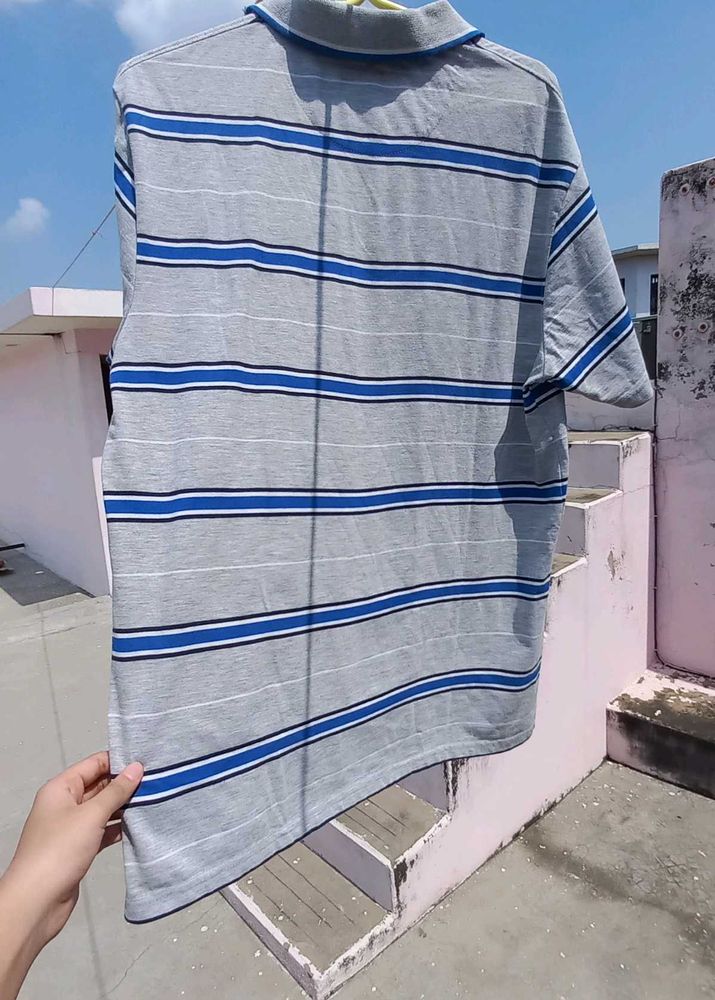 Striped Polo Shirt