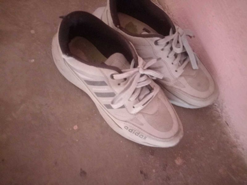 Adidas Sneakers
