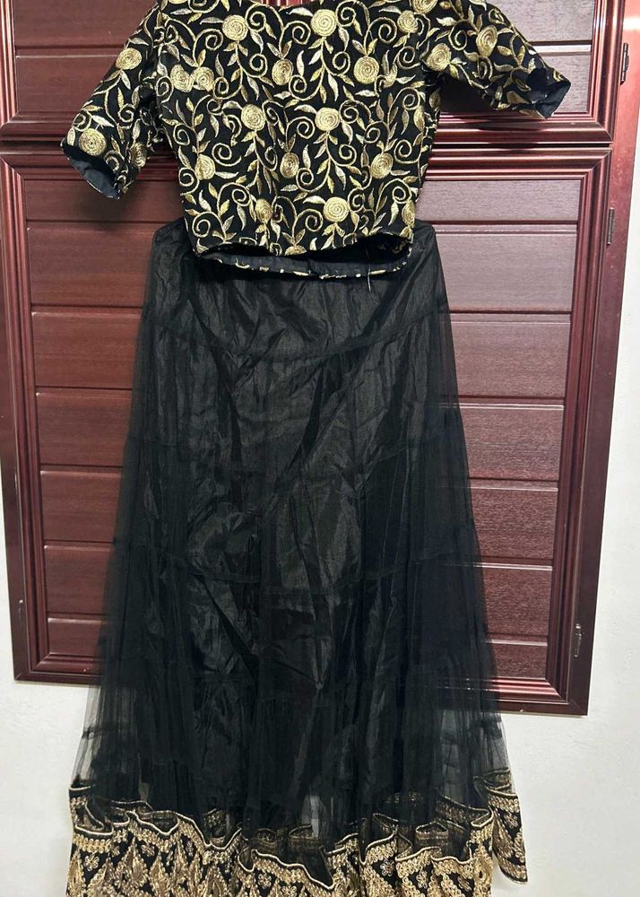 Elegant Lehenga Choli Set