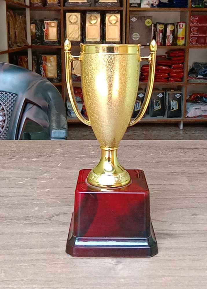 Cup Trophy Suitable For All Sports