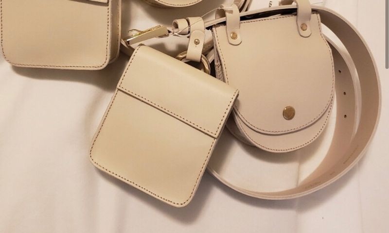 Zara Waist Bag