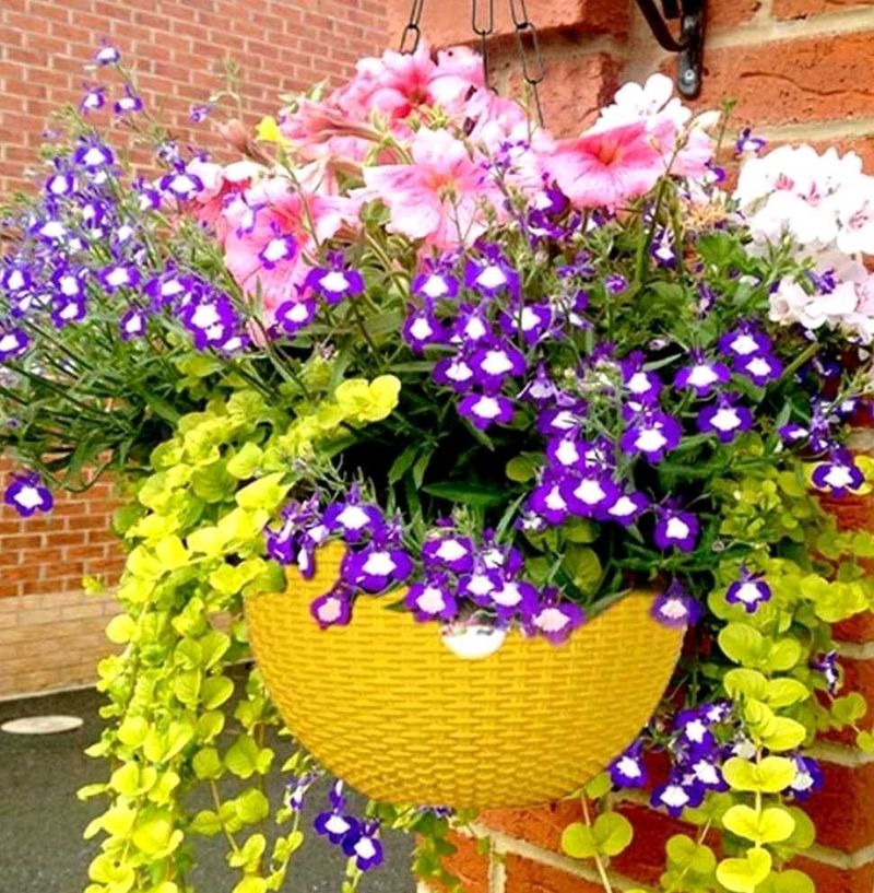 Hanging Planters for outdoor/indoor gardening