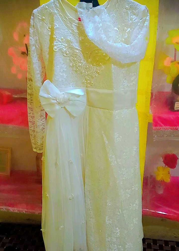 Elegant Ethnic Dress