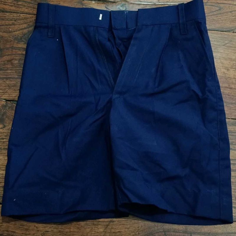 Navy Blue Pleated Shorts