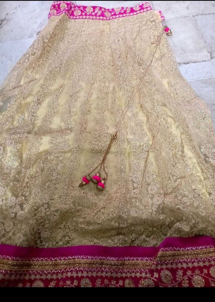 Gorgeous Gold Embroidered Lehenga