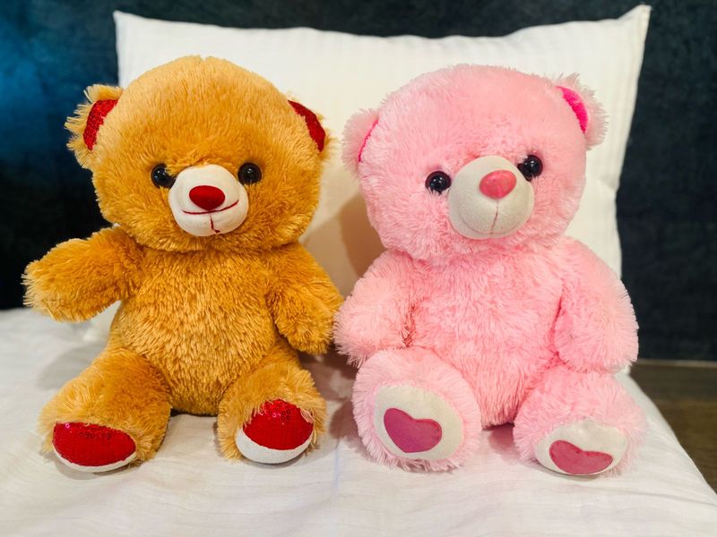 Cute Teddy Bear Duo❤️‍🔥