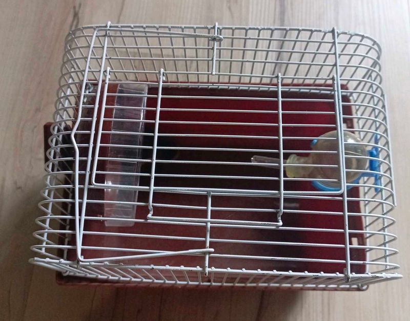 Hamster Cage