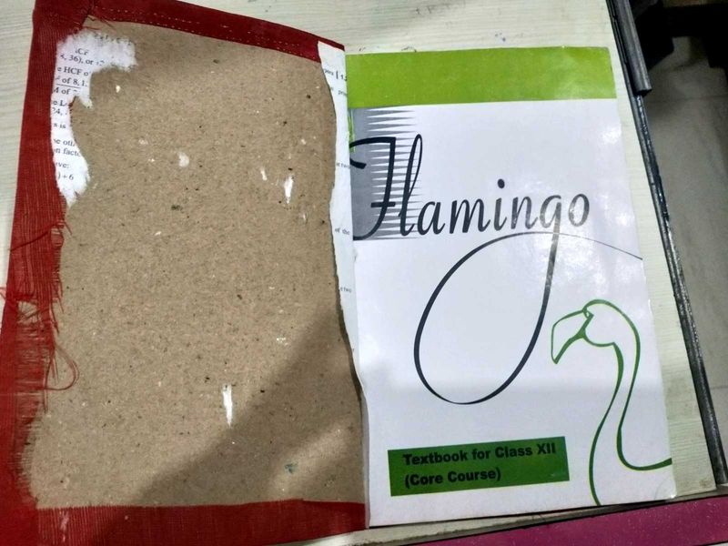Flamingo Textbook Class XII