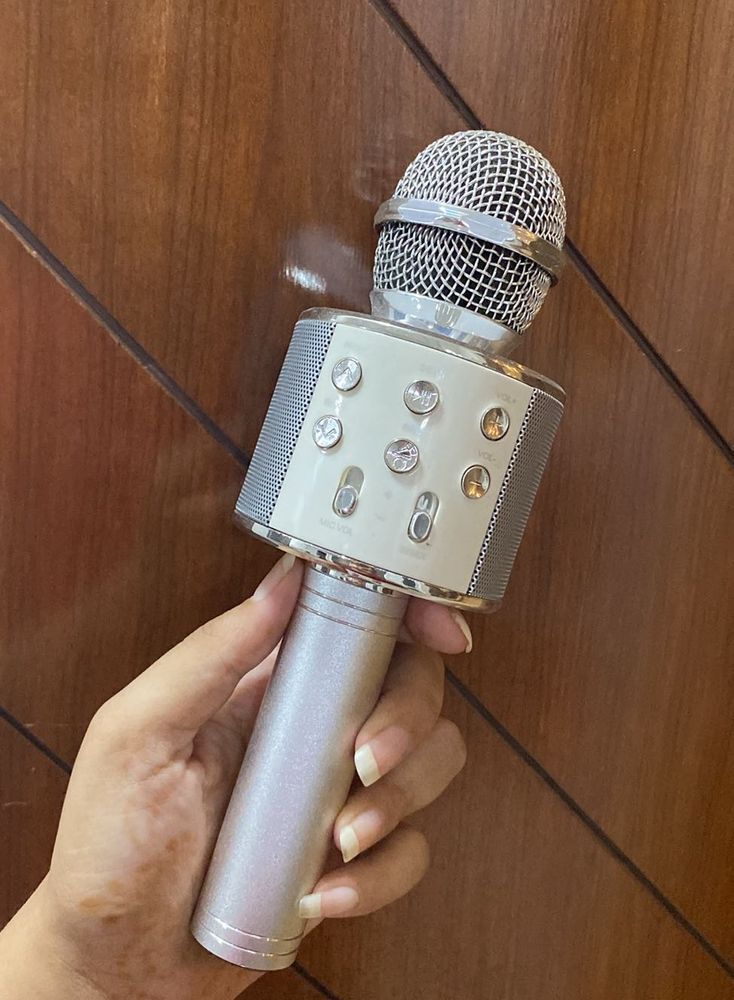 Karaoke Microphone