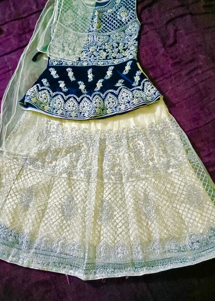 Embroidered Lehenga Choli Set