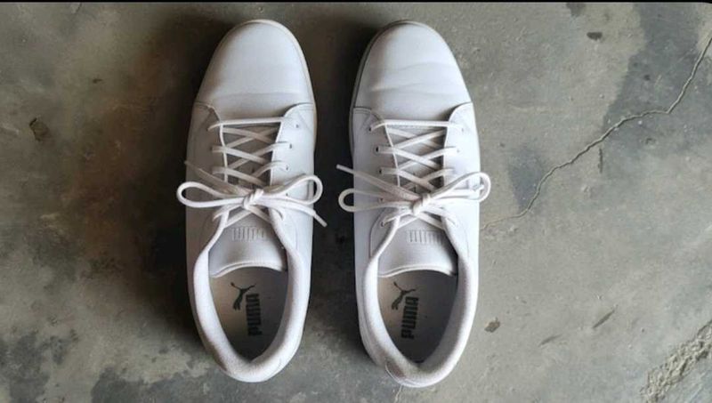 Puma White Casual Shoes