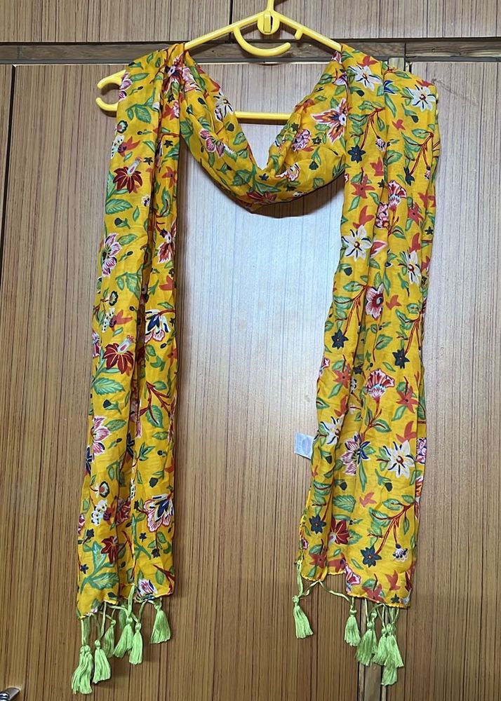Printed Multicoloured Stole With Tassels
