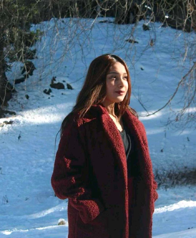 Fur Coat