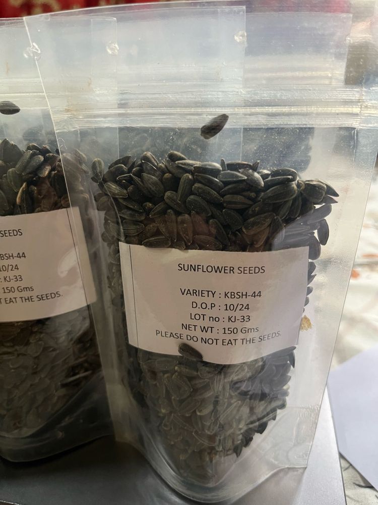 Sunflower Seeds for planting