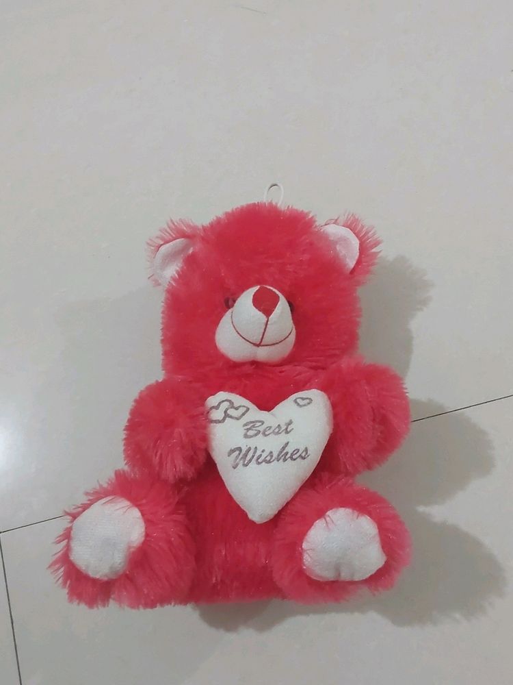 Cute Tedd with Best Wishes Tag