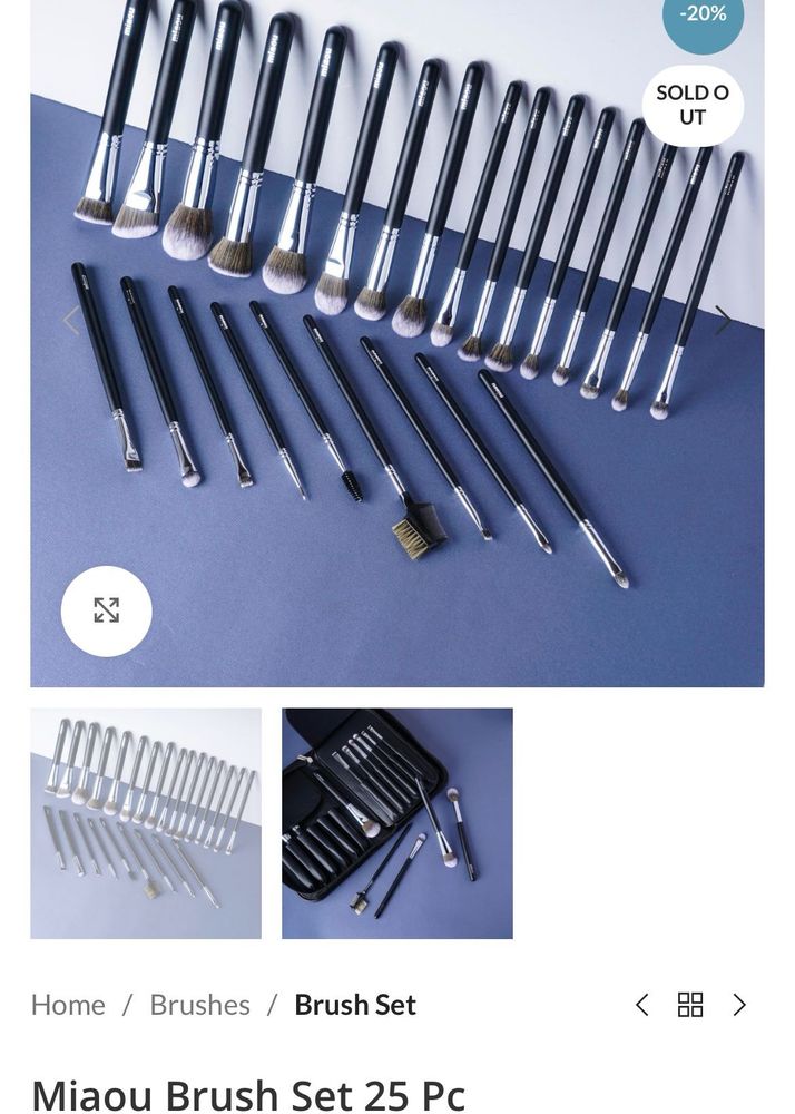 Professional Makeup Brushes